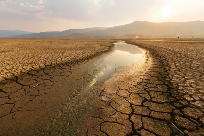 العالم أصبح أكثر جفافاً في العام 2021